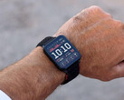 The Venu X1 has gained several new features with its latest beta update. (Image source: Garmin)