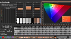 CalMAN: ColorChecker (calibrated)