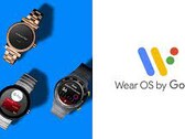 Wear OS might get a new feature soon. (Source: Google)