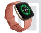 Fitbit Sense and Versa 3 smartwatch users say a new update has affected battery life. (Image source: Fitbit)