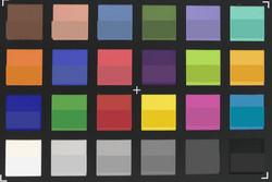 ColorChecker Passport: The reference color is in the bottom field.