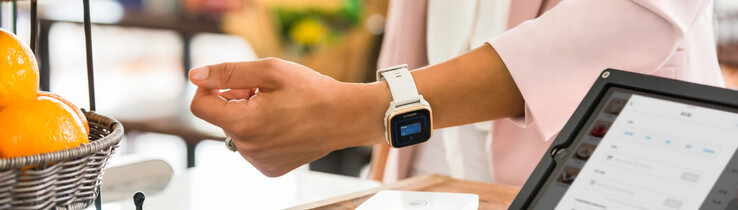 The Garmin Pay feature (shown above) will be rebranded as Garmin Wallet. (Image source: Garmin)