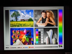 Wide IPS viewing angles. Colors and contrast degrade only from very wide angles