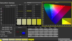 CalMAN: Saturation (calibrated)