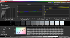 CalMAN Grayscale (new measurement)