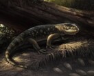This terrifying lizard was discovered in a museum. (Image source: Concept Art of Bolg amondol by Cullen Townsend)