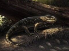 This terrifying lizard was discovered in a museum. (Image source: Concept Art of Bolg amondol by Cullen Townsend)