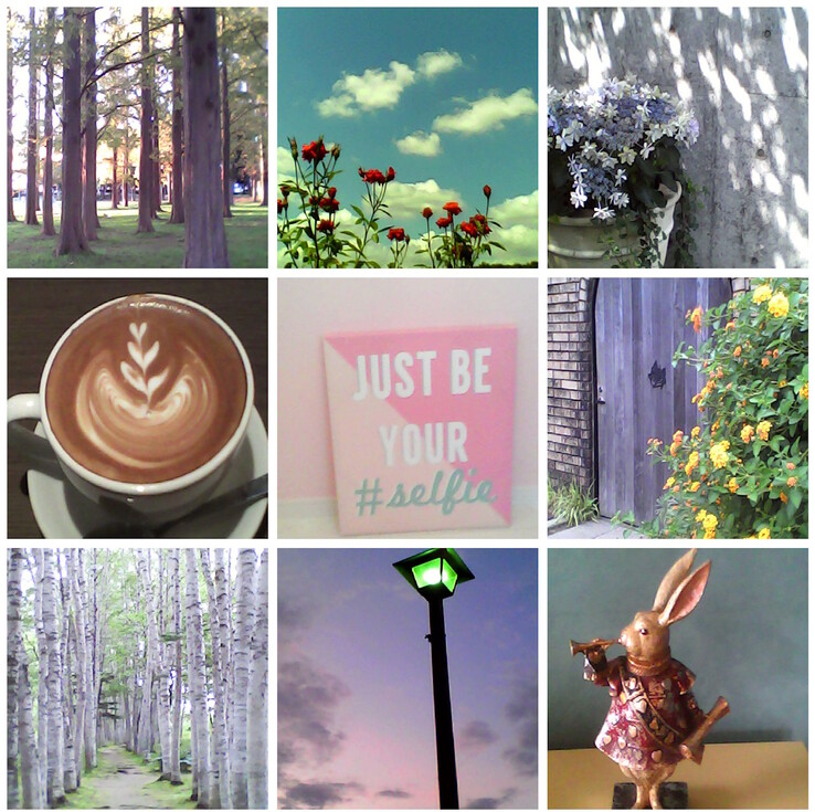 Example photos taken with the Kenko Tokina Pieni II toy camera. (Image source: Kenko Tokina)