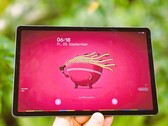 Samsung Galaxy Tab S10 Lite in review. (Image source: Marcus Herbrich)