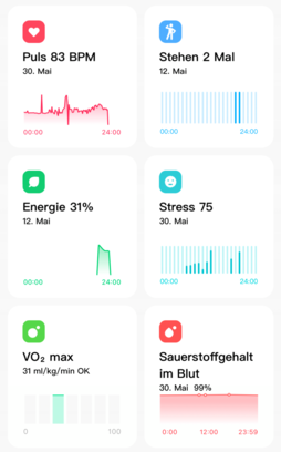 Xiaomi sales vo2 max