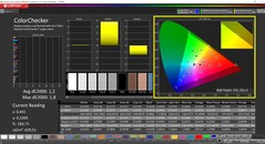 CalMAN ColorChecker calibrated (target color space P3)