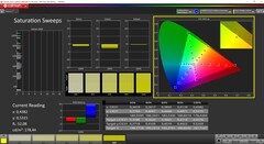 CalMAN Saturation Sweeps (profile: P3, target color space P3)