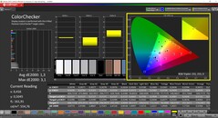 CalMAN ColorChecker (profile: sRGB, target color space: sRGB)