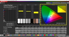 CalMAN ColorChecker (profile: sRGB, target color space: sRGB)