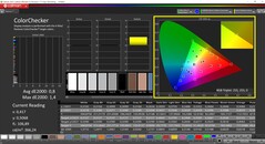 CalMAN ColorChecker (profile sRGB)