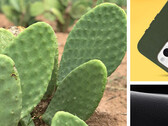 Cacti: now for smartphone protection. (Source: Otterbox)