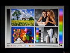 Wide IPS viewing angles