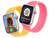 The Apple Watch is getting another bug fix update. (Image source: Apple)