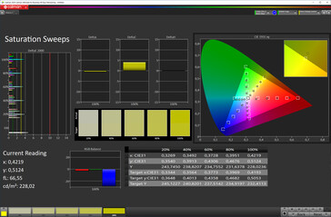 CalMAN: Saturation sweeps (Colour space: sRGB)