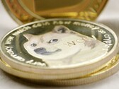 Dogecoin is now acceptable to Tesla. (Image source: Unsplash)