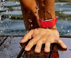 Whoop will soon have new competition from Google.