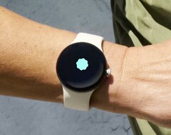 The Google Pixel Watch is expected to get high blood pressure detection soon, just like the Apple Watch. (Image source: Google)