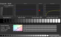 CalMAN: Grayscale (calibrated)