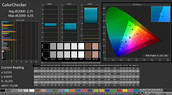 CalMAN: ColorChecker (post-calibration)