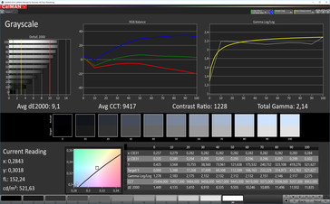 CalMAN: Grayscale – sRGB target colour space