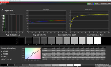 Main display: greyscale (colour mode: normal, colour temperature: standard, target colour space: sRGB)