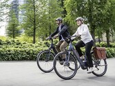 The Diamant Mandara 160 Gen 3 e-bike can support loads up to 169 kg (~353 lbs). (Image source: Trek Bikes)