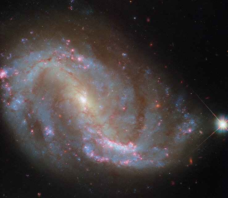 The Hubble image of  NGC 7496 (Image source: ESA/Hubble, NASA, R. Chandar, J. Lee, and the PHANGS-HST team)