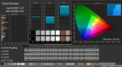 CalMAN: ColorChecker (X-Rite Pantone)