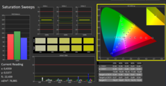 CalMAN - color saturation (calibrated)