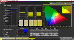 CalMAN saturation calibrated