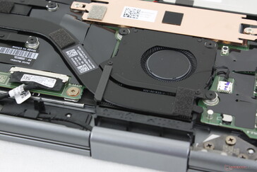 We can notice no electronic noise or coil whine from our test unit