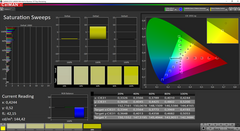 CalMAN Saturation Sweeps calibrated