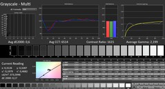 Calman: Grayscale (calibrated)