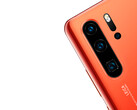 The P30 Pro's days as a normal Android device may be numbered. (Source: Huawei)