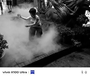 （图片来源：Vivo）