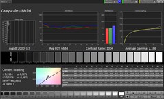 CalMAN Grayscale – External Display