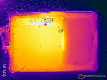 High processing stress (Back)