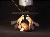 Lobster shells turned into biohybrid robot grippers (Image source: Create Lab EPFL)