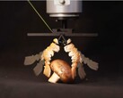 Lobster shells turned into biohybrid robot grippers (Image source: Create Lab EPFL)