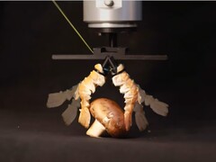 Lobster shells turned into biohybrid robot grippers (Image source: Create Lab EPFL)