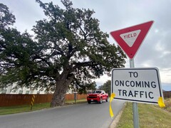 The Jolene oak tree on Old Stagecoach Road in Kyle Texas (Image source: Maya Fawa/KUT News)