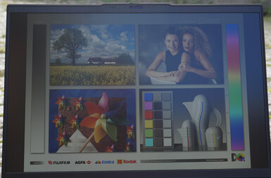 The image remains easily recognizable against the sunlight.