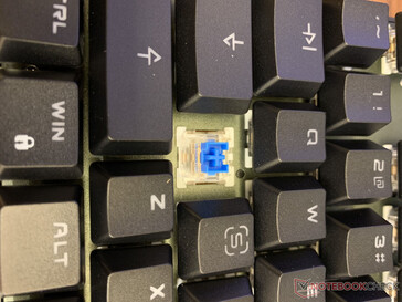 Though they're not real Cherry Blue switches, they're close enough and for significantly less at retail