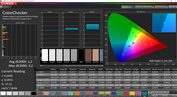 CalMAN: ColorChecker (after calibration)