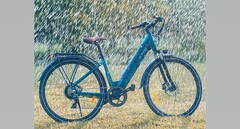 The Fiido C11 Pro. (Image source: Fiido)